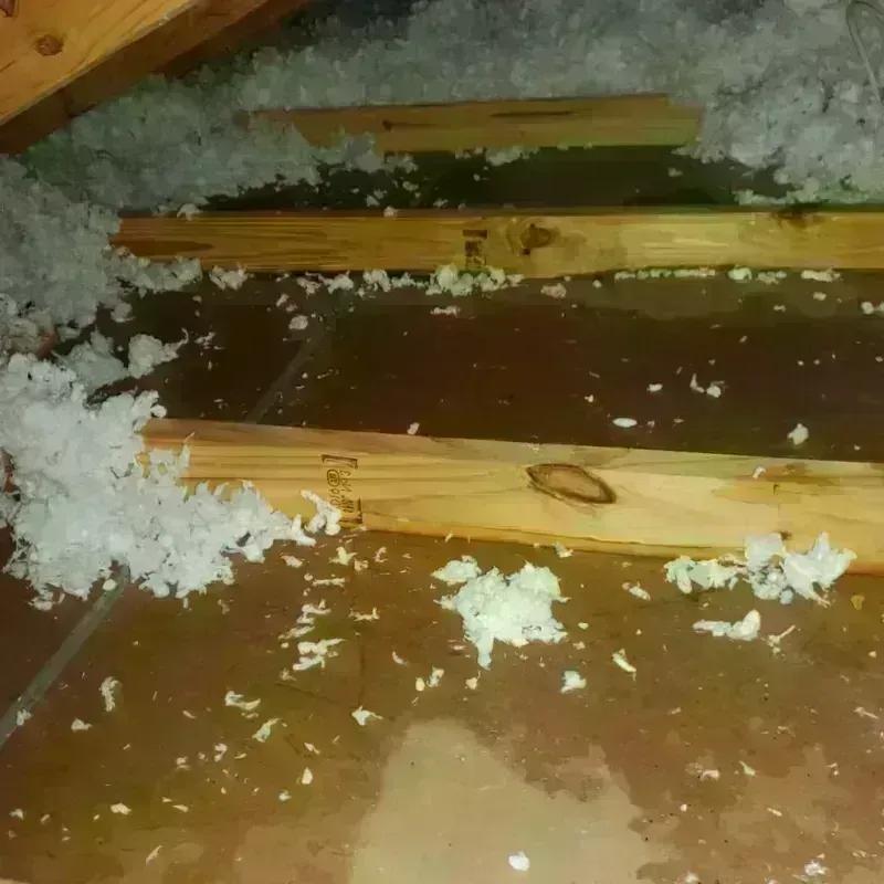 Attic Water Damage in Wilton, CT