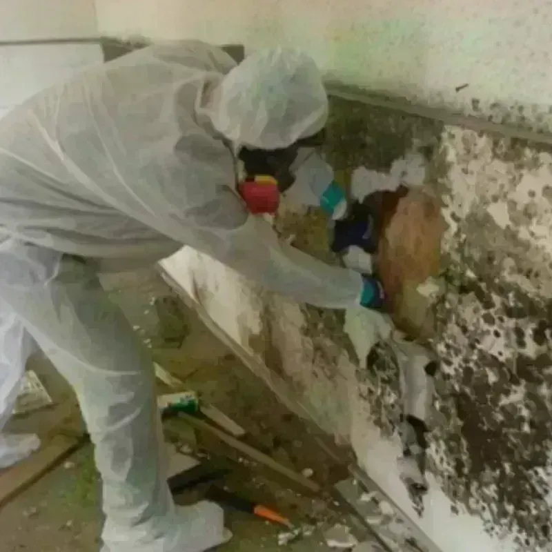 Mold Remediation and Removal in Wilton, CT